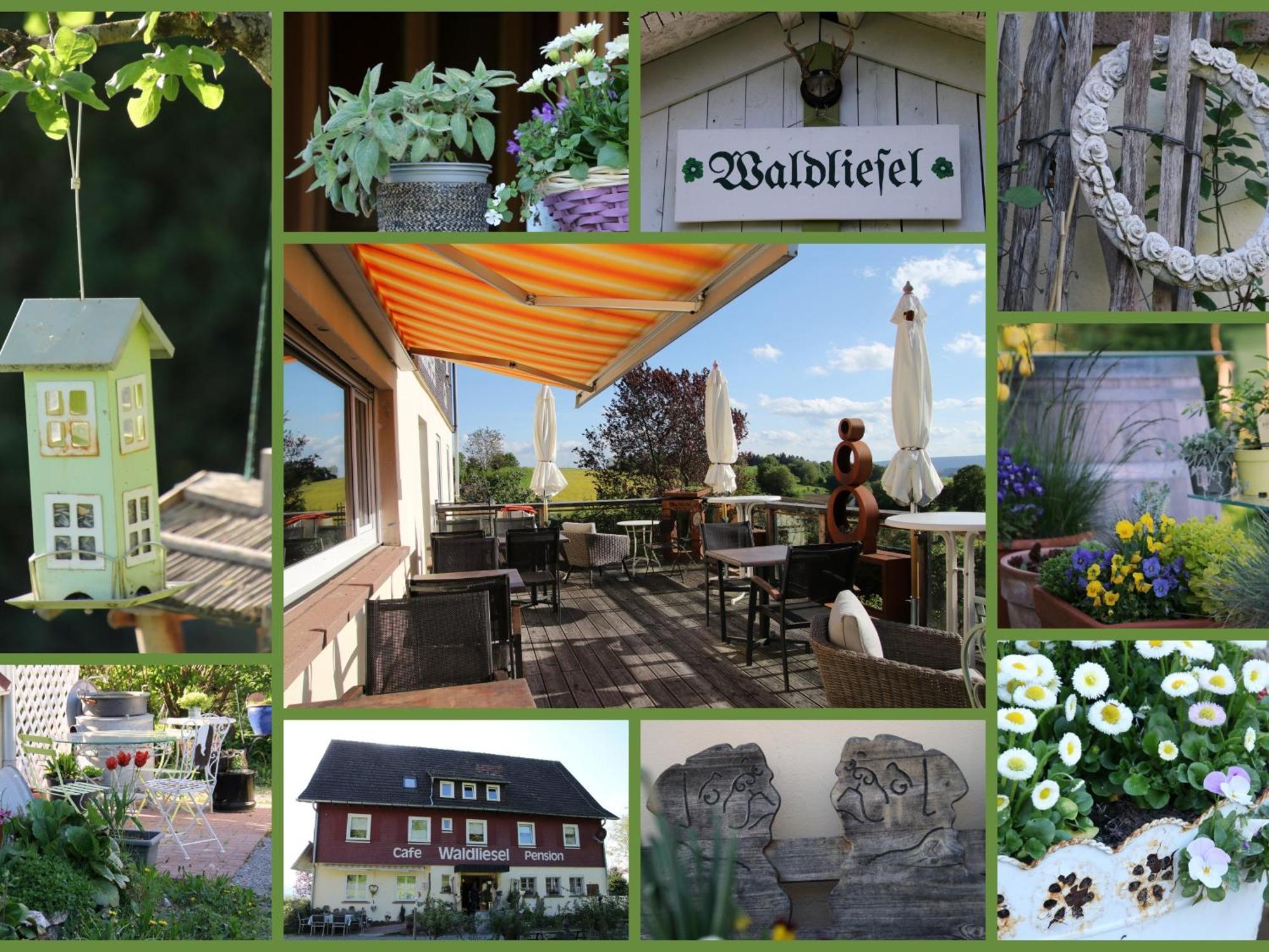 Pension Waldliesel Dornstetten Extérieur photo